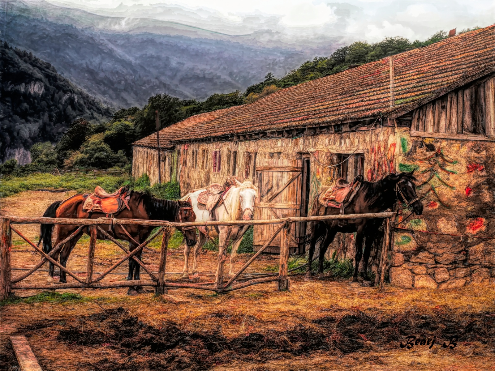 Horses in Corral 3